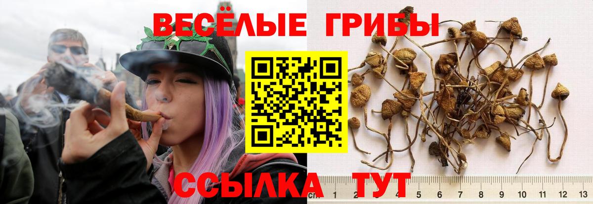 Галлюциногенные грибы мухоморы  Вход с VPN  Минеральные Воды 